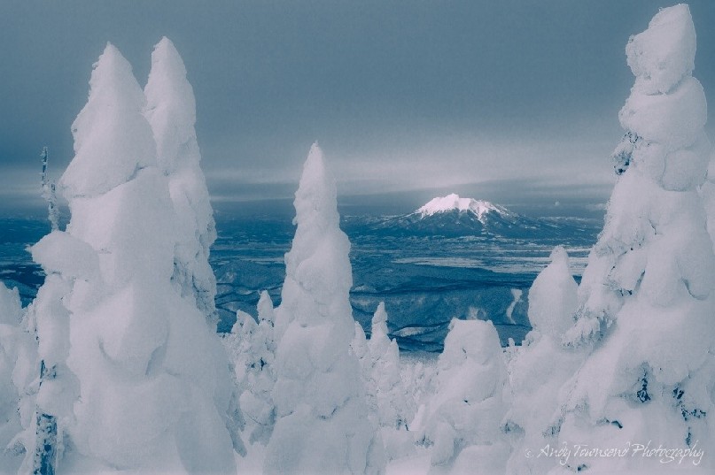 A distant Mt Iwaki is framed by snow-covered Maries’ fir (Abies mariesii) trees.