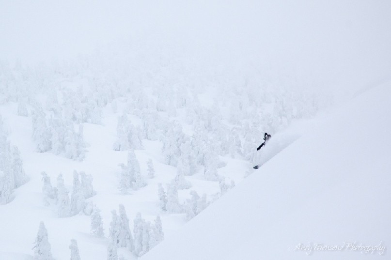 A male snowboarder makes his way down a steep slope with Maries’ fir (Abies mariesii) trees in the distance.