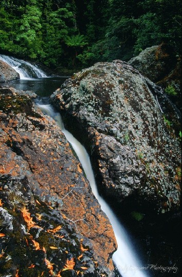 A small waterfall cascades down a narrow cleft in the rocks surrounded by rainforest.