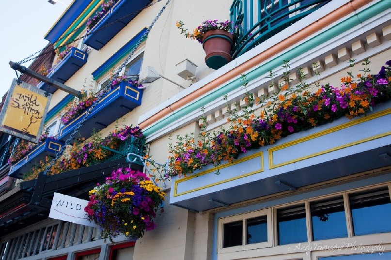 A wall of colourful flower boxes adorns this shop wall.