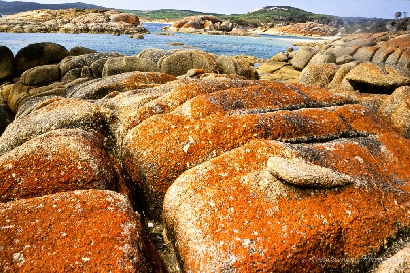 Red lichen covers the rocks along a granite-lined bay on Flinders Island, Tasmania, Australia.