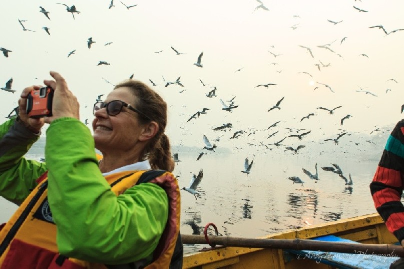 A lady photographing silver gulls on the Yamuna river in Delhi.