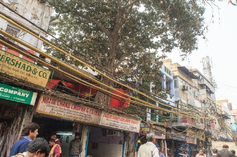 A tree growing on a second floor roof above a busy Delhi street adorned with chaotic electrical cables.