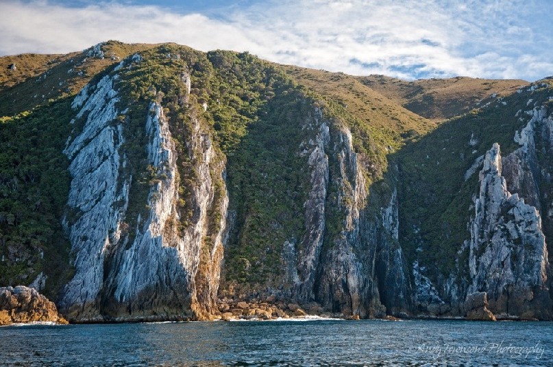 Quartzite cliffs rise out of the sea along the Southwest Tasmanian coast.
