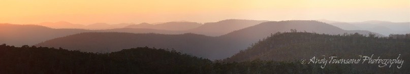 A view over eucalyptus forest to Chauncy Vale Wildlife sanctuary.