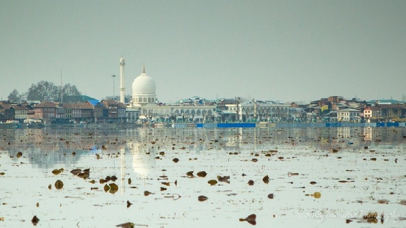 Reflections from the Muslim shrine reflect into Dal Lake.