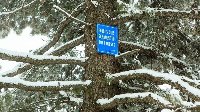 A road sign on the Tangmarg to Gulmarg road.