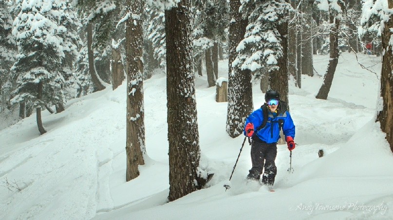 A skier weaves their way through snow-covered trees.
