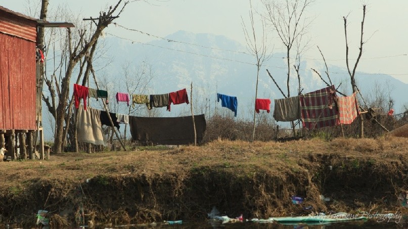 A colourful clothes line in the backyard of a house ajoining Dal Lake.