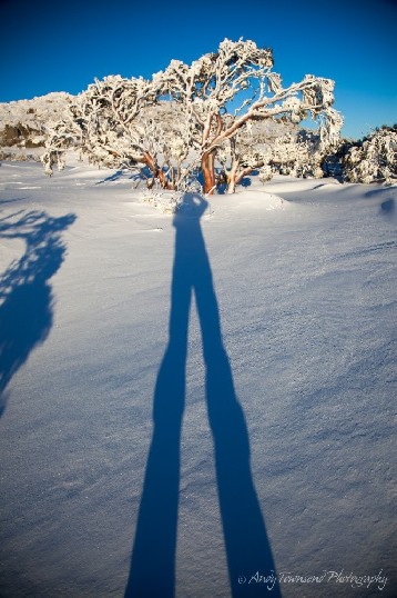 The late afternoon sun casts a long shadow of the photographer on wind-packed snow near The Paralyser, Kosciuszko National Park, Australia.