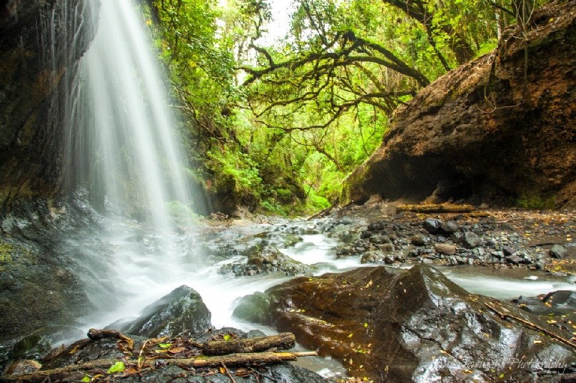 A waterfall cascades down into a rocky stream bed surrounded by forest on the side of Mt Meru.