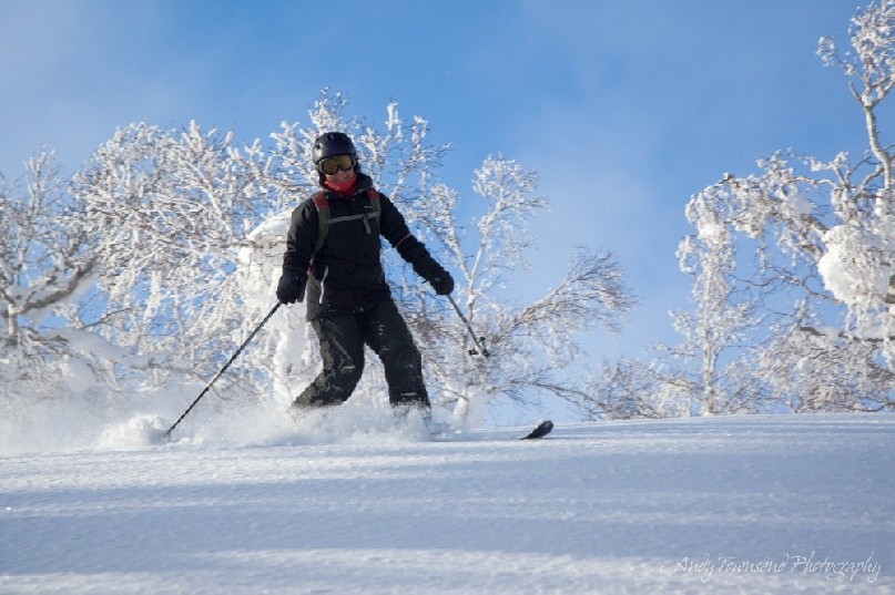 A telemark skier initiates a turn in the dry powder